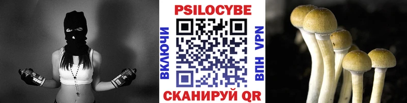 Галлюциногенные грибы Psilocybe  наркота  Стерлитамак 