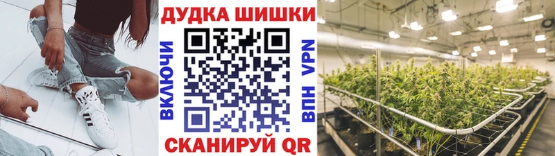 цены наркотик  Стерлитамак  Каннабис планчик 